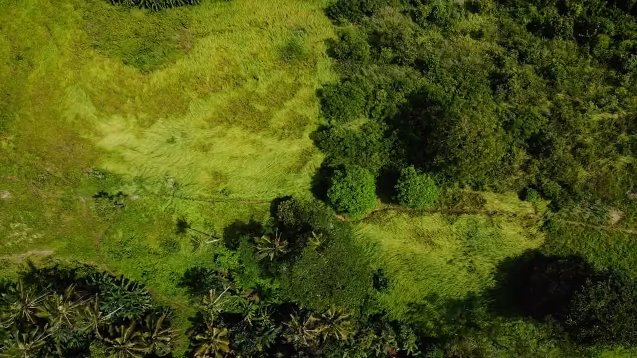Illustrative aerial landscape of green fields and woodland